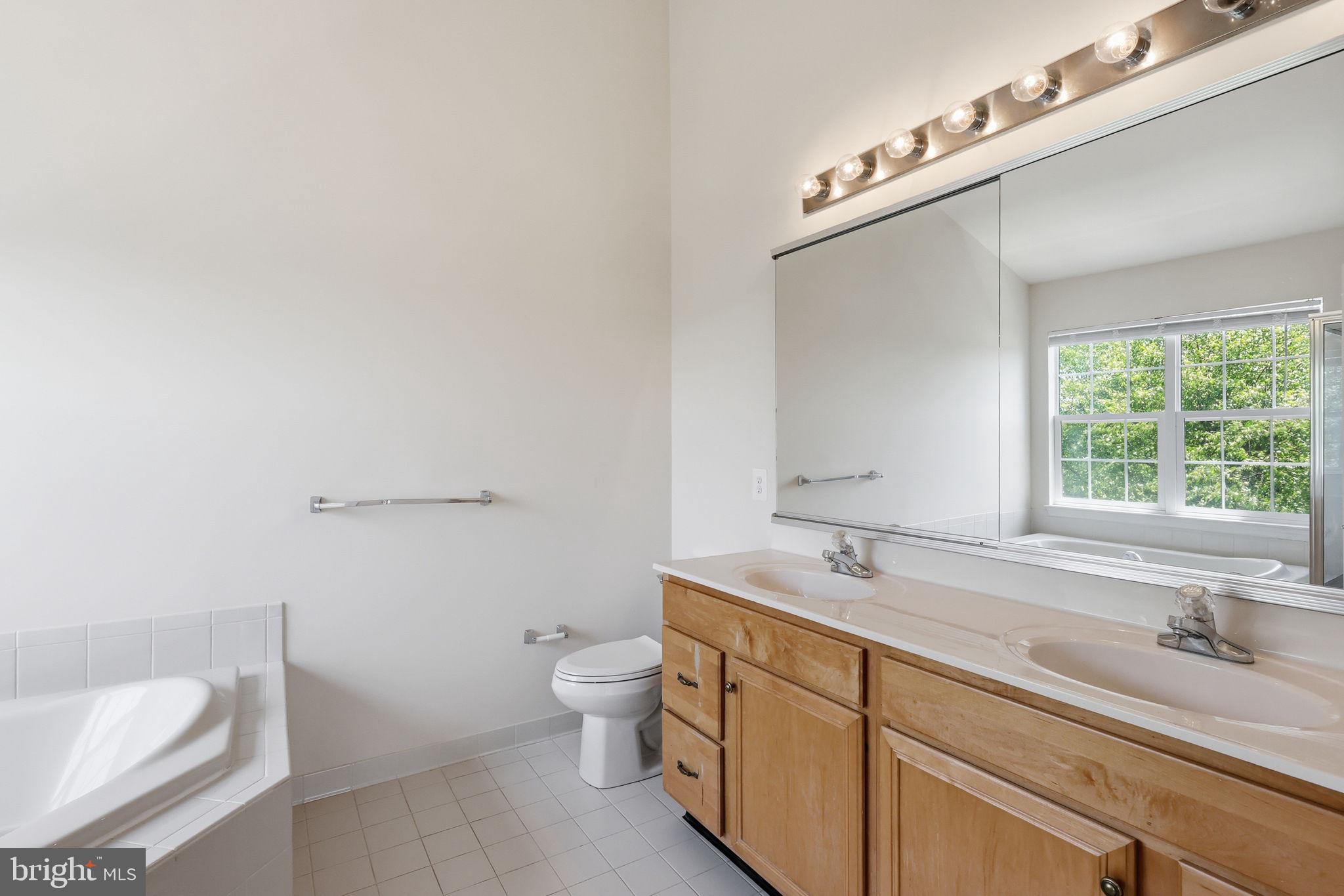 19617 Edgemont Square Ashburn, VA 20147 - Photo 30 of 65 a bathroom with a sink and a toilet