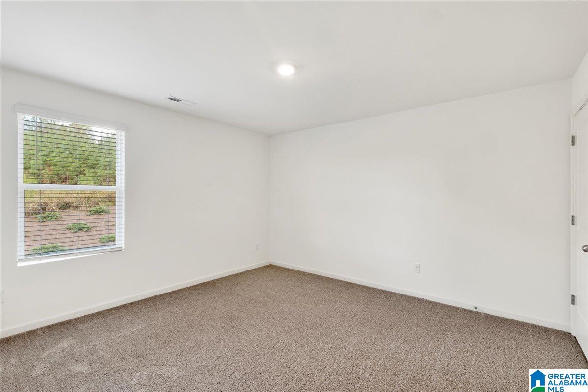 508 Rock Terrace Way Helena, AL 35080 - Photo 16 of 22
