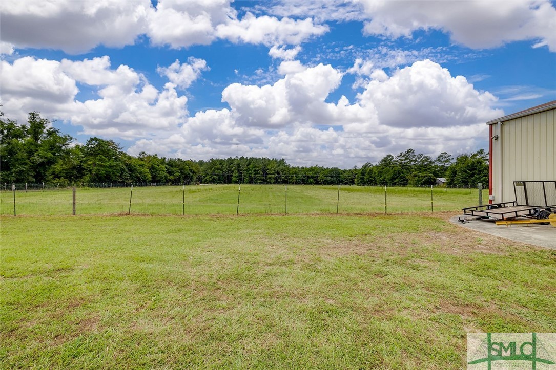3880 Clyo-Kildare Road Clyo, GA 31303 - Photo 40 of 43 horse pasture