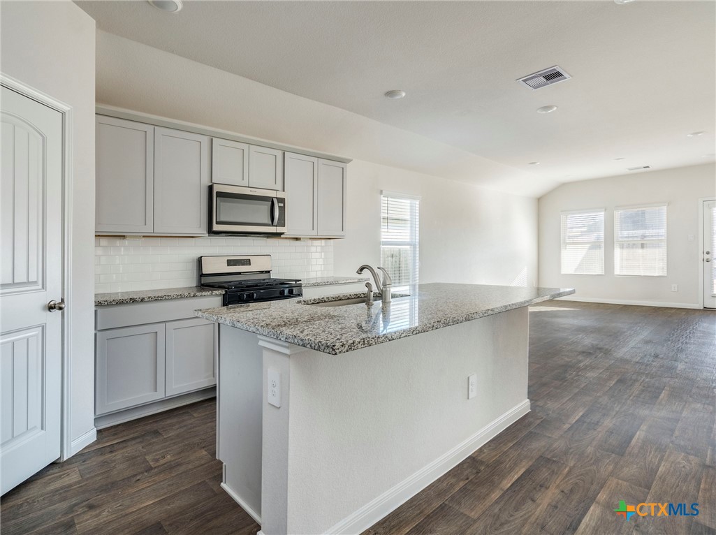 316 Addison Place Lockhart, TX 78644 - Photo 4 of 28 a kitchen with stainless steel appliances granite countertop a sink a stove a refrigerator with white cabinets and wooden floor