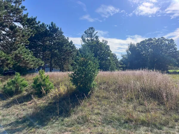 $65,000 | Lot 38 Meadow Green Road, Danbury, WI 54830