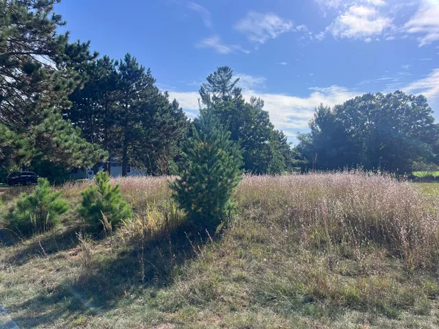 $65,000 | Lot 38 Meadow Green Road, Danbury, WI 54830