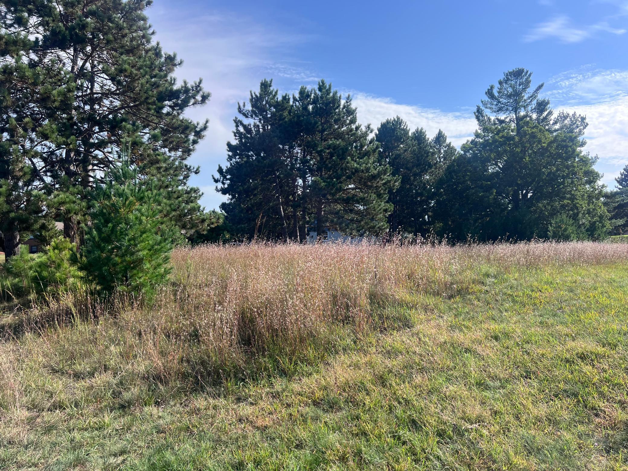 Lot 38 Meadow Green Road Danbury, WI 54830 - Photo 5 of 21