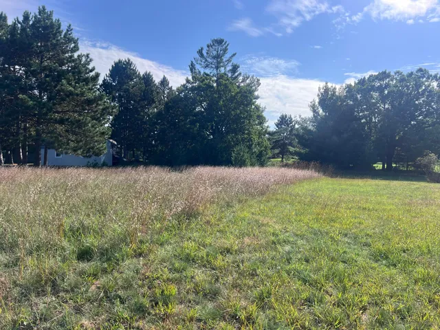 $65,000 | Lot 38 Meadow Green Road, Danbury, WI 54830