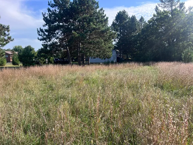 $65,000 | Lot 38 Meadow Green Road, Danbury, WI 54830