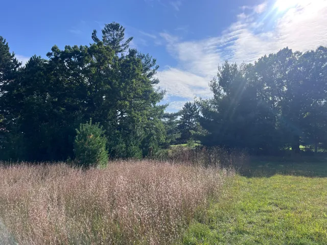 $65,000 | Lot 38 Meadow Green Road, Danbury, WI 54830