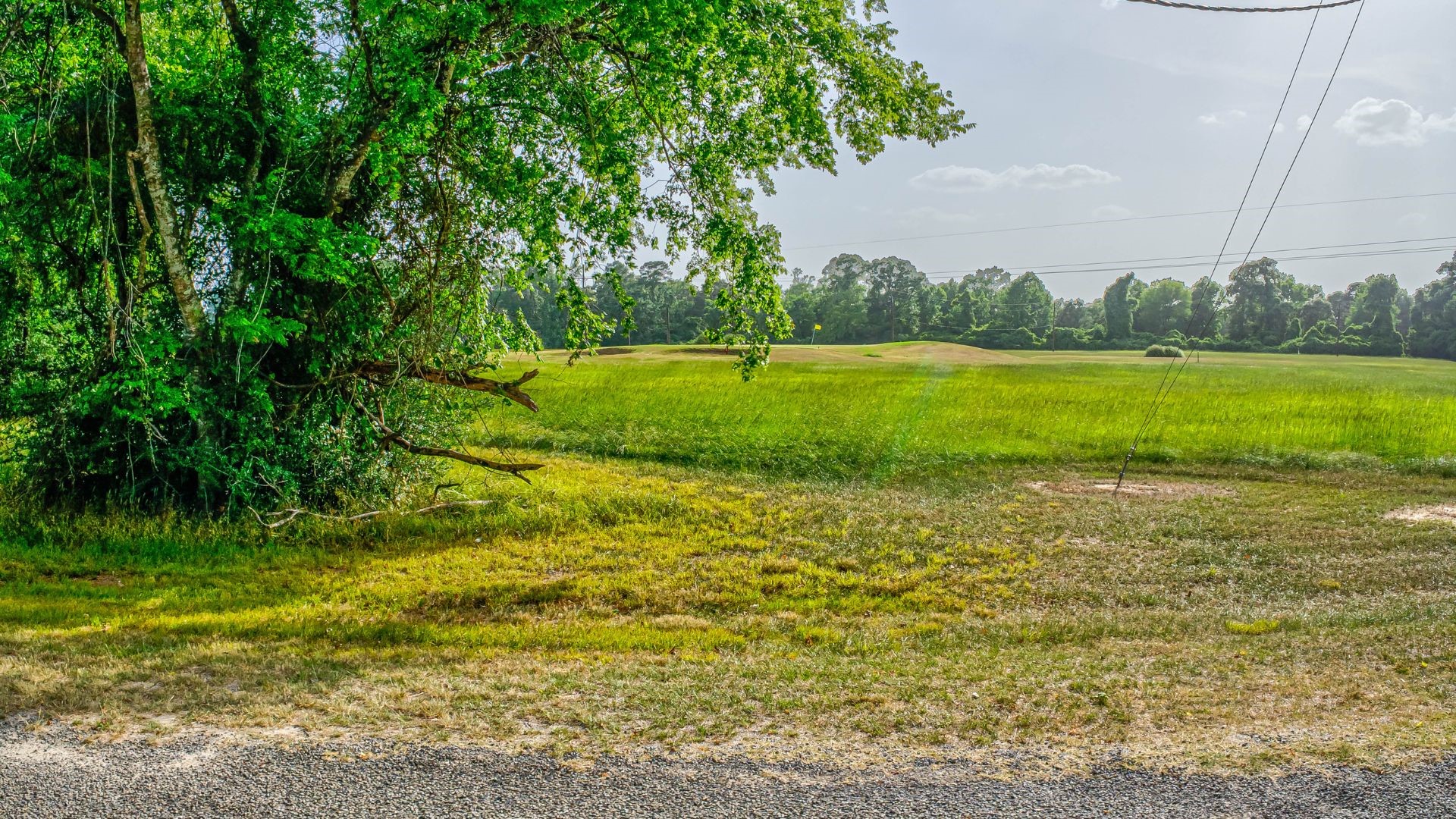 1 Springs Road Crawford, MS 39743 - Photo 5 of 5 a view of a golf course with a lake