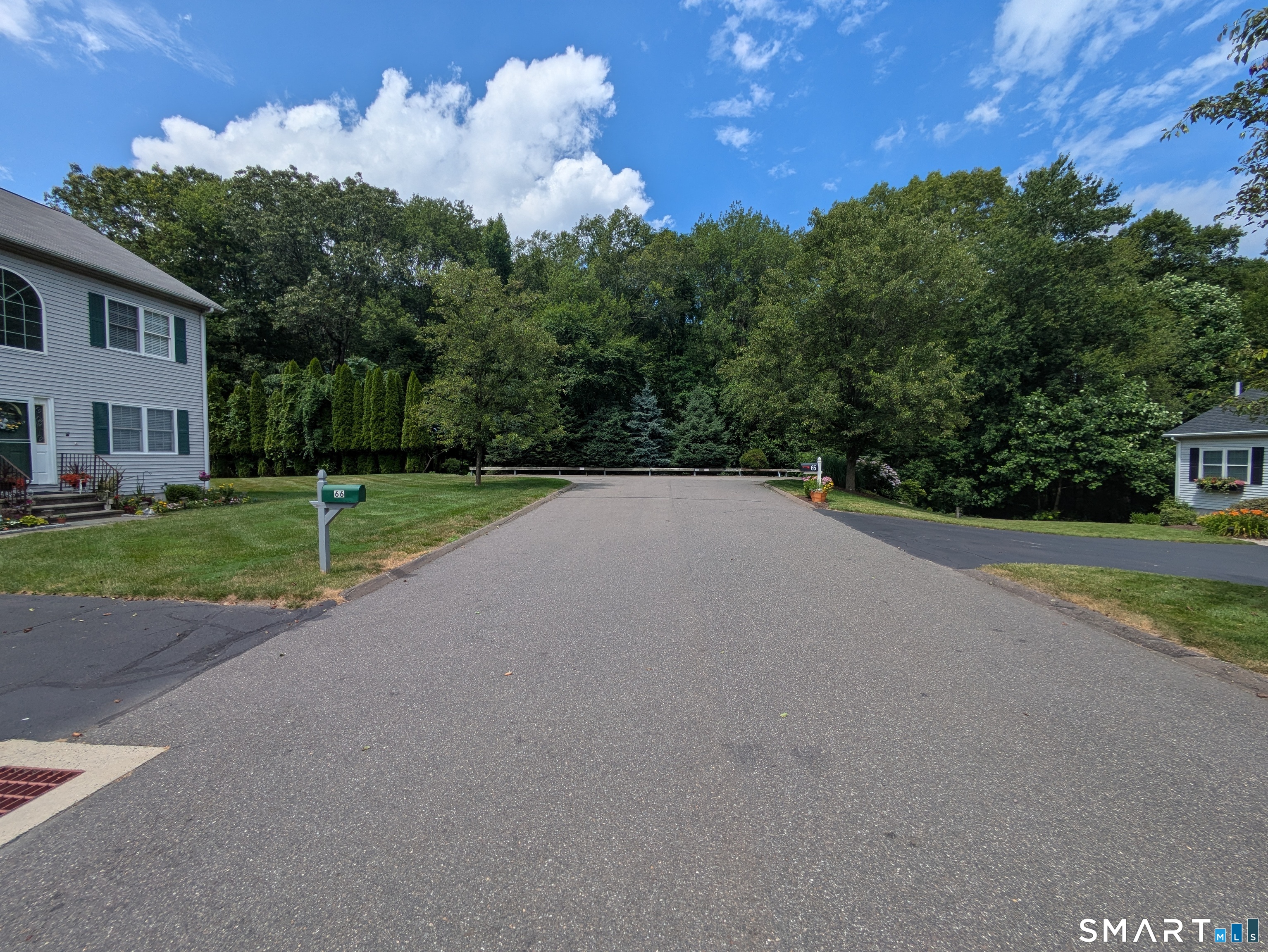 61 Basking Brook Road Shelton, CT 06484 - Photo 6 of 25 a view of a house with a yard