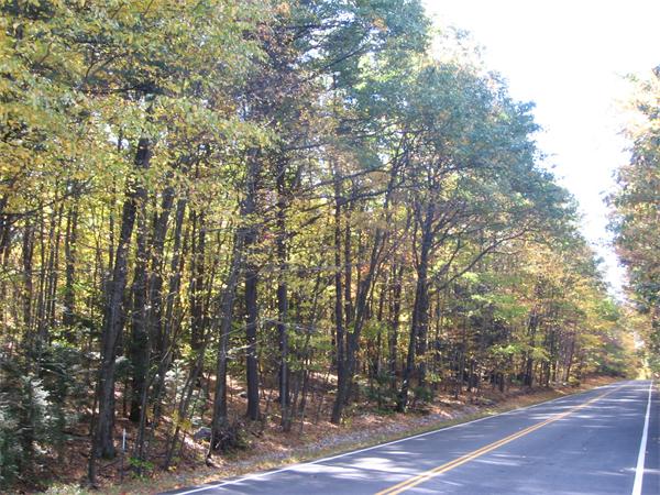 230 Littleton Road Harvard, MA 01451 - Photo 2 of 4