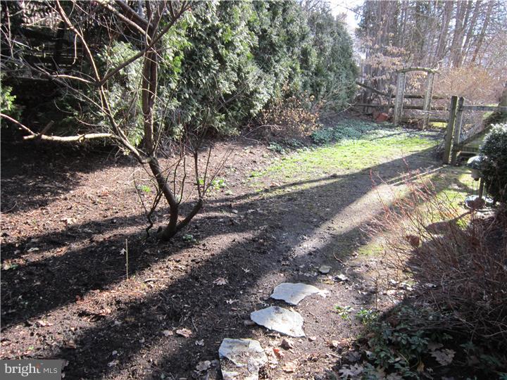 328 Hemlock Lane Springfield, PA 19064 - Photo 23 of 24 Back Yard