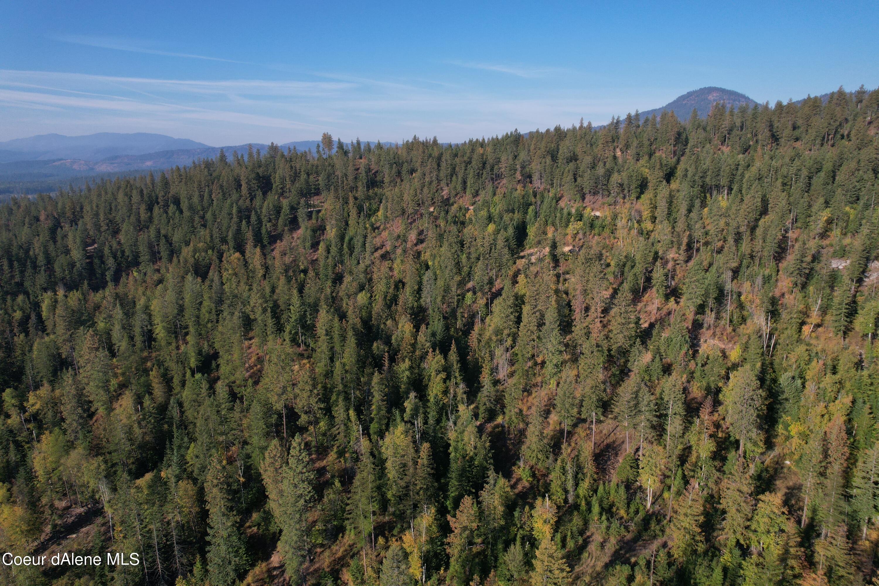 Nka Carr Creek Road Sandpoint, ID 83864 - Photo 4 of 10 Bonner 29.7 Heinrich 4