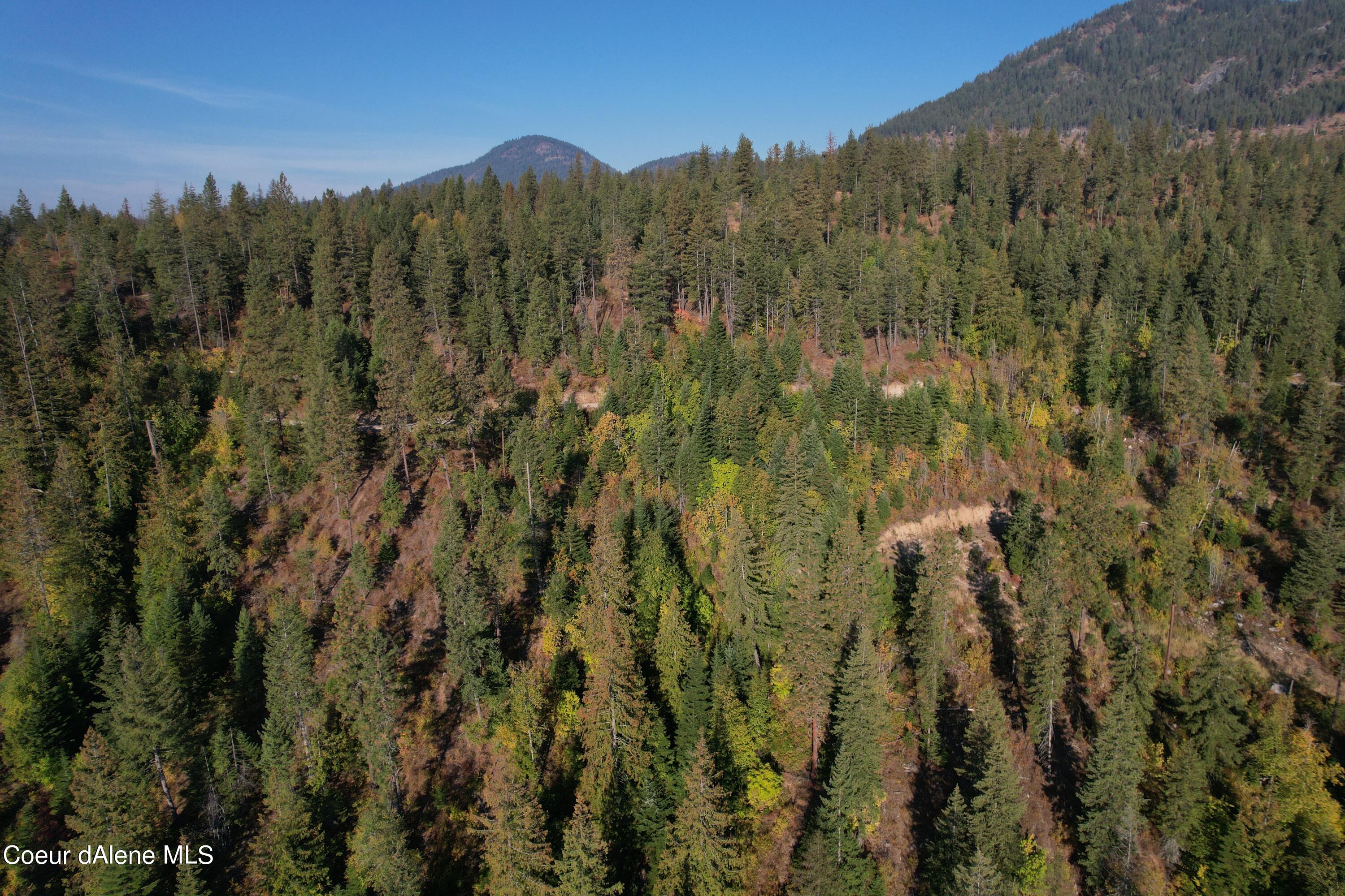 Nka Carr Creek Road Sandpoint, ID 83864 - Photo 8 of 10 Bonner 29.7 Heinrich 9