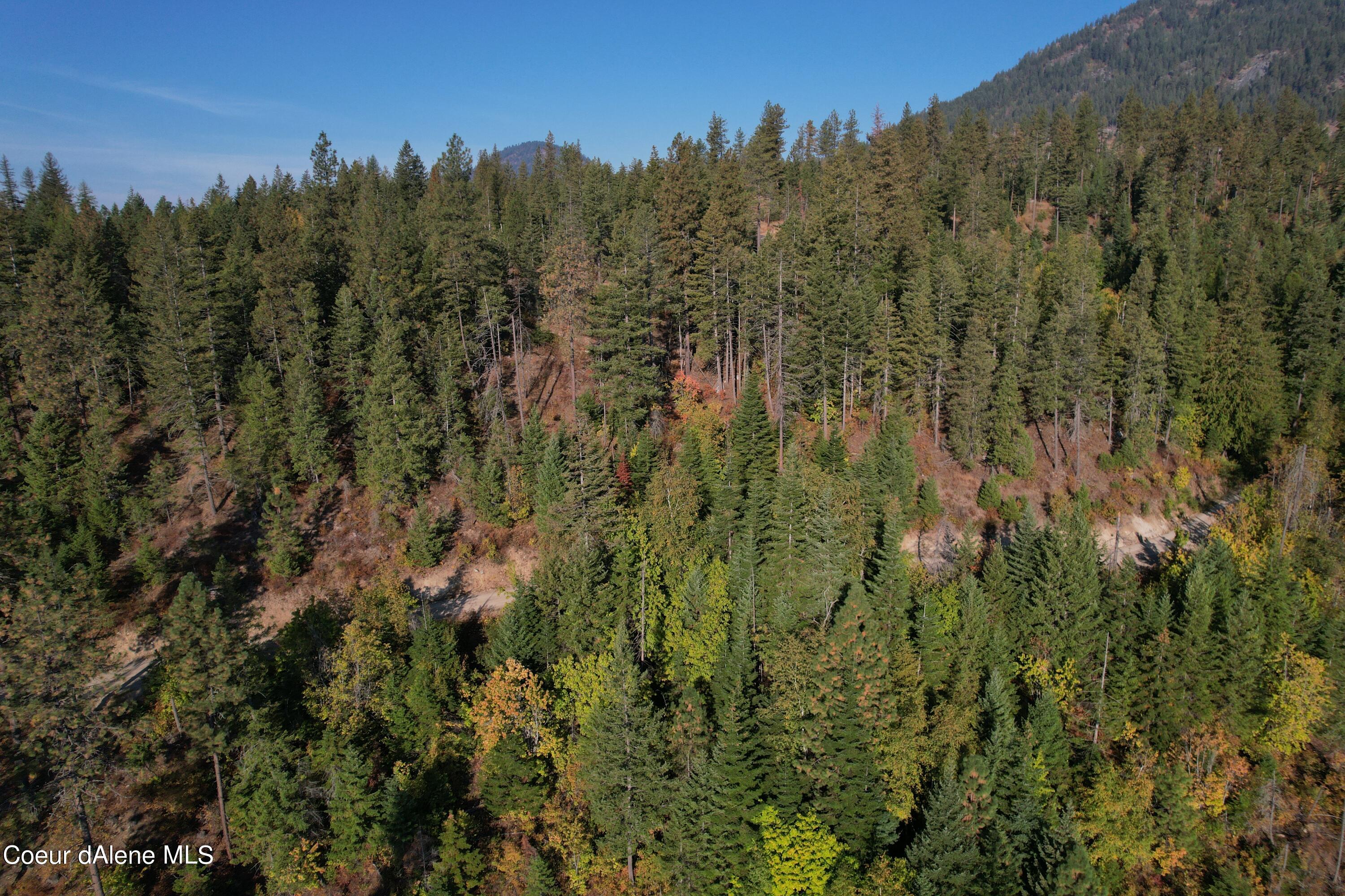 Nka Carr Creek Road Sandpoint, ID 83864 - Photo 9 of 10 Bonner 29.7 Heinrich 10