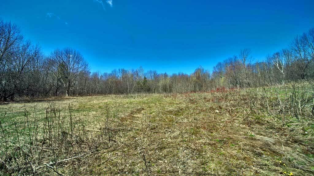 Lot 9.2 Us Rt 1 Road Weston, ME 04424 - Photo 24 of 26 harris-hill-land-15
