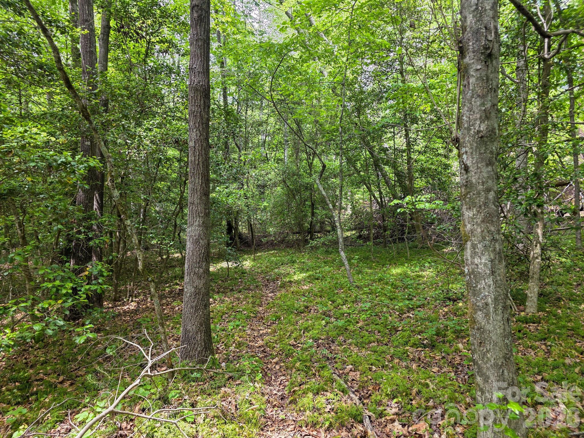 0 Romey Campbell Road Ellenboro, NC 28040 - Photo 24 of 41