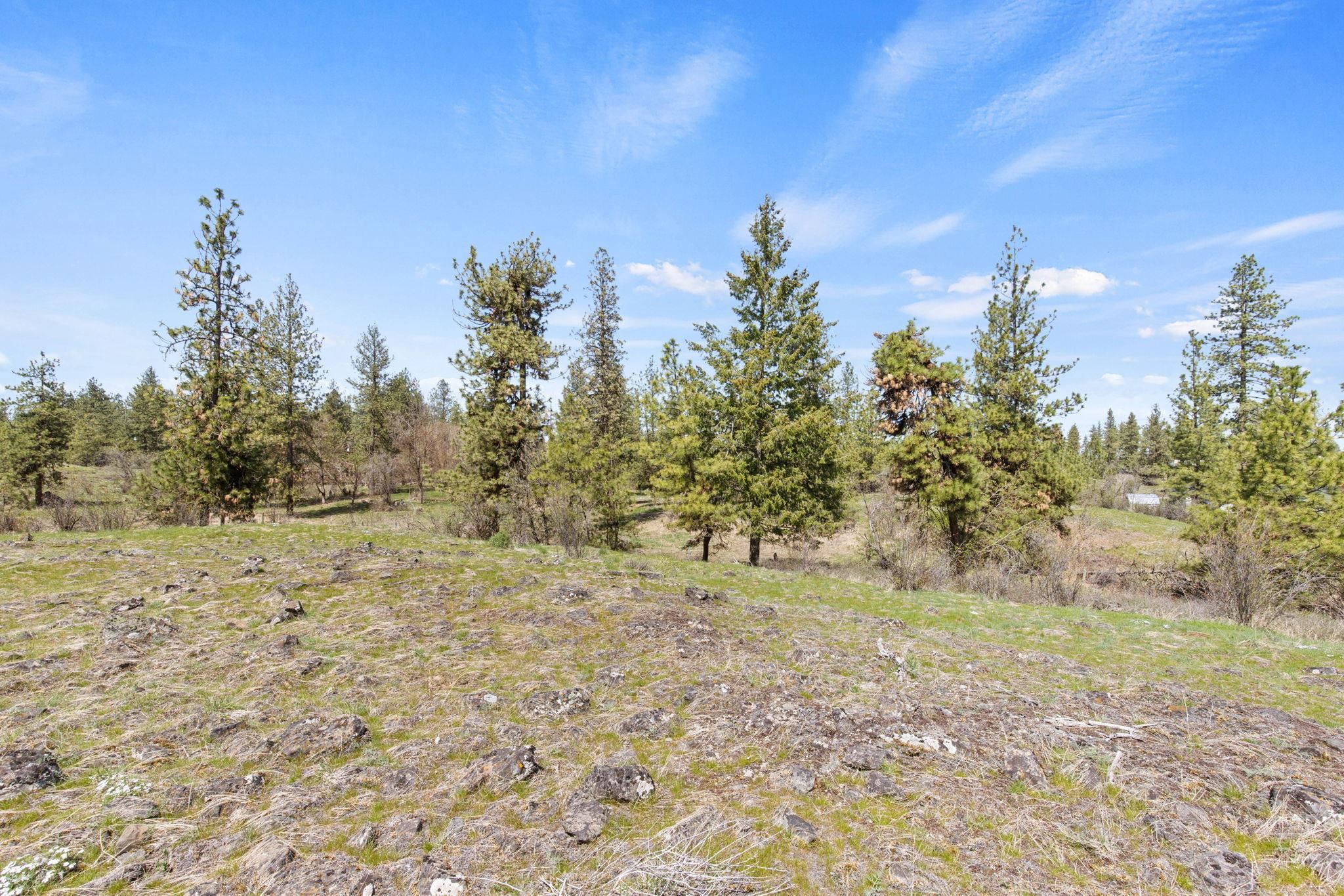 15017 West Lincoln Road Spokane, WA 99224 - Photo 8 of 17 Gallery Image 8