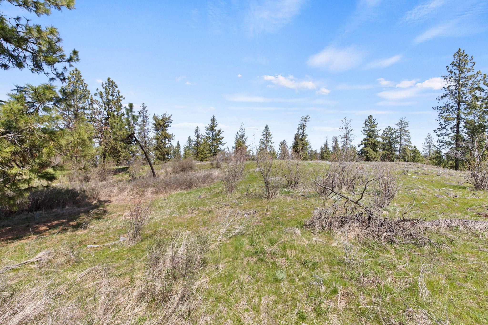 15017 West Lincoln Road Spokane, WA 99224 - Photo 10 of 17 Gallery Image 10