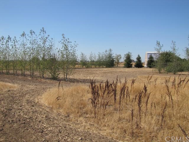 0 Lone Tree Road Gridley, CA 95948 - Photo 1 of 1 Gallery Image 1
