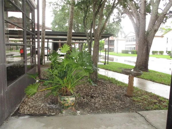 a view of a yard with plants and large trees