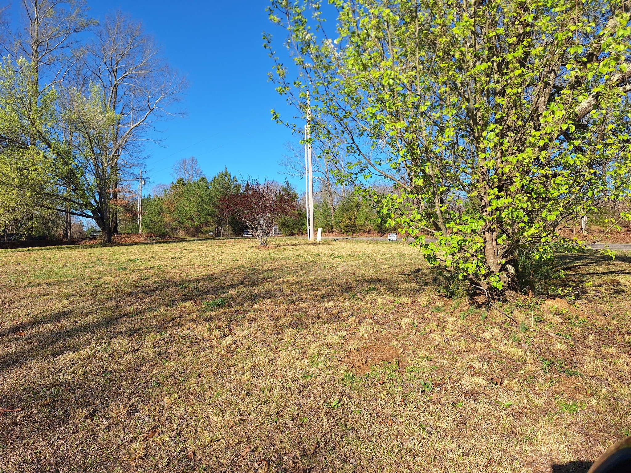 538 Mt Nebo Road Iron City, TN 38463 - Photo 31 of 33 a view of a field with trees