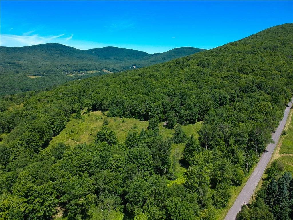 263 Schuman Road Roxbury, NY 12474 - Photo 7 of 13