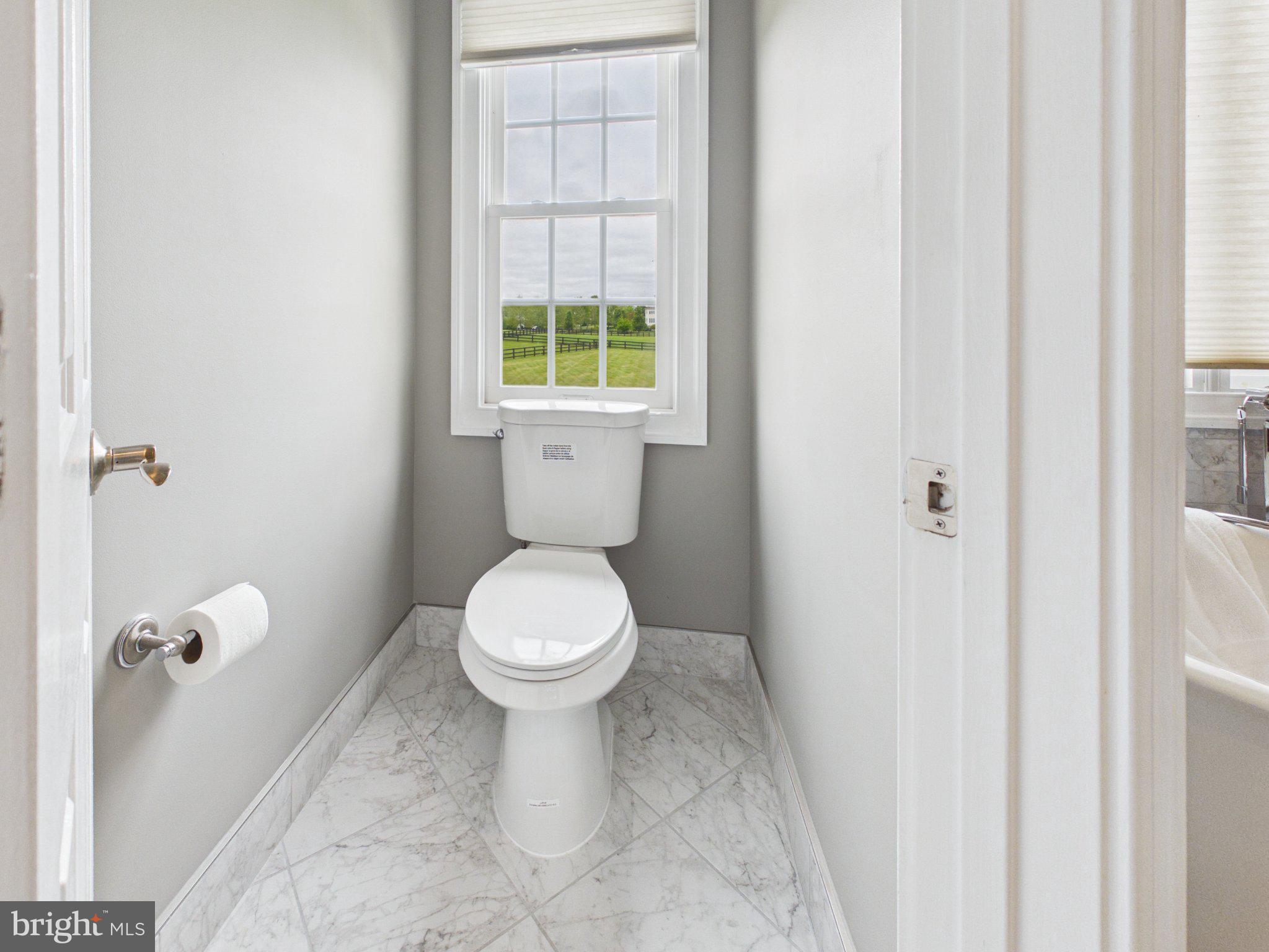 38565 Piggott Bottom Road Hamilton, VA 20158 - Photo 46 of 85 Bright and airy bathroom retreat.