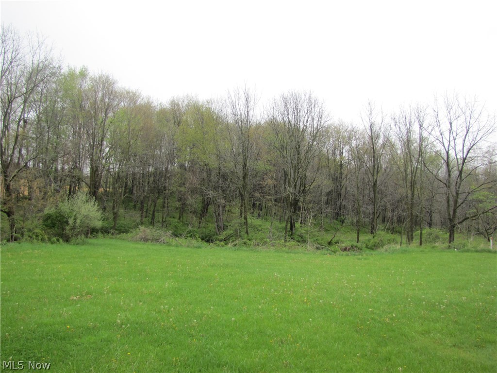 Valley Road Sugarcreek, OH 44681 - Photo 5 of 13 Gallery Image 5