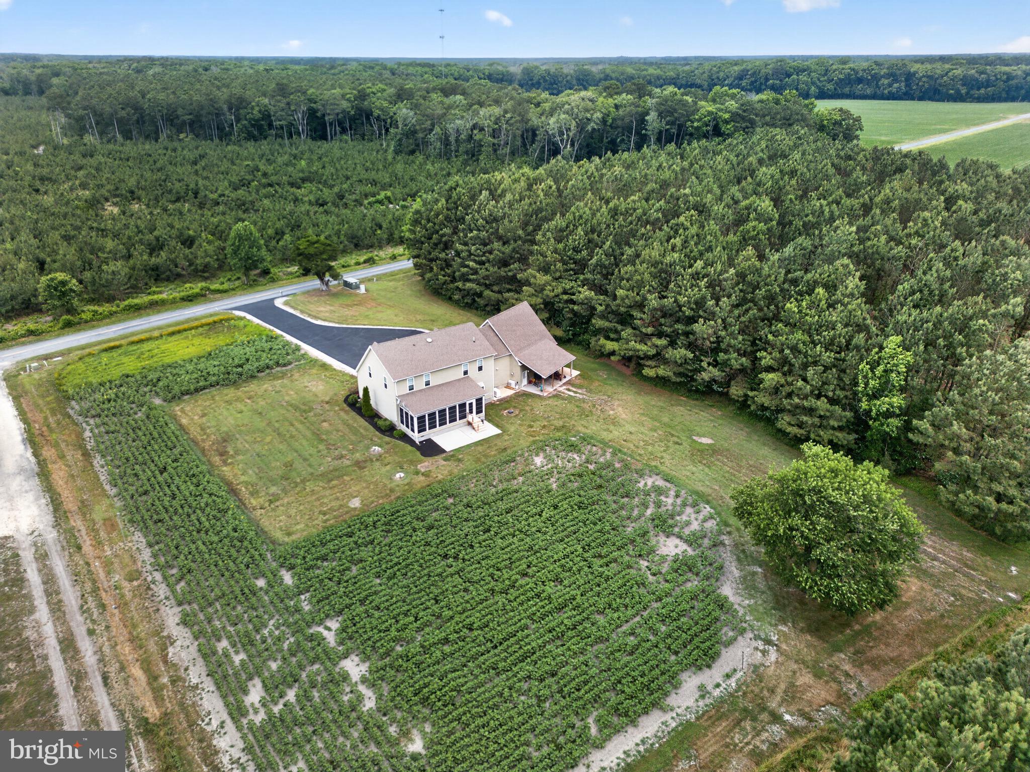 2435 Payne Road Pocomoke City, MD 21851 - Photo 7 of 85