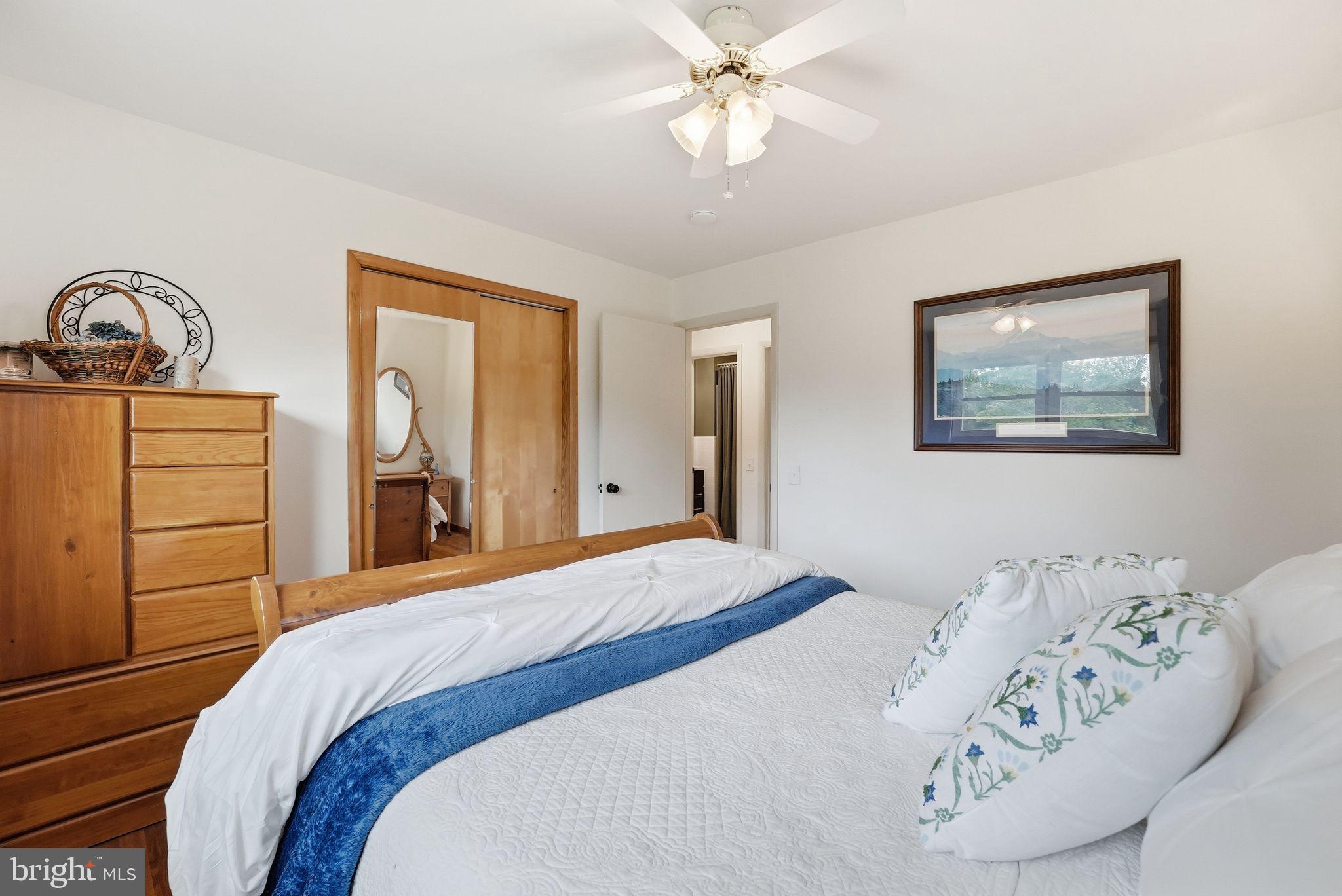 481 James City Road Leon, VA 22725 - Photo 29 of 88 a bedroom with a bed and a dresser