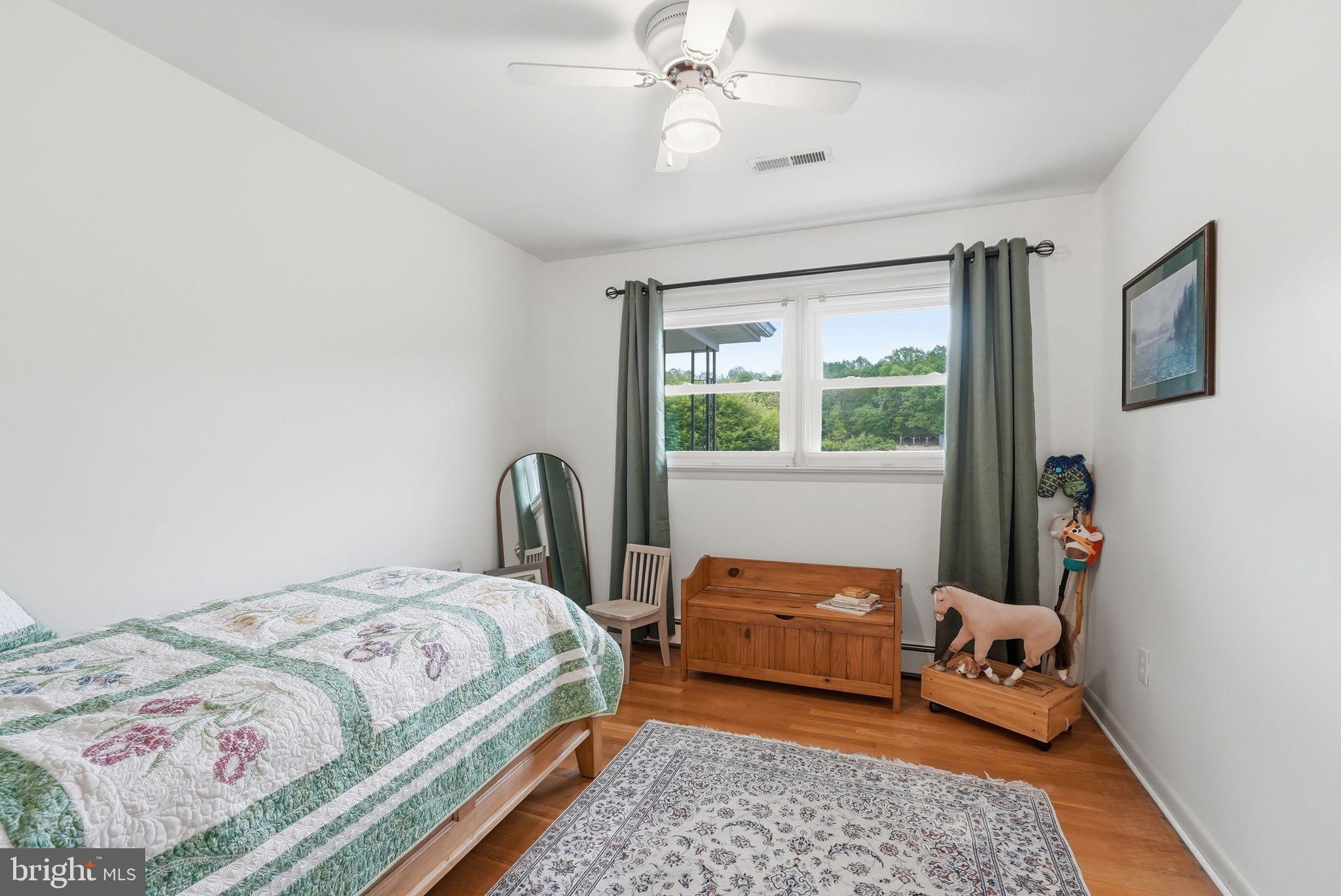 481 James City Road Leon, VA 22725 - Photo 33 of 88 a bedroom with a bed and wooden floor