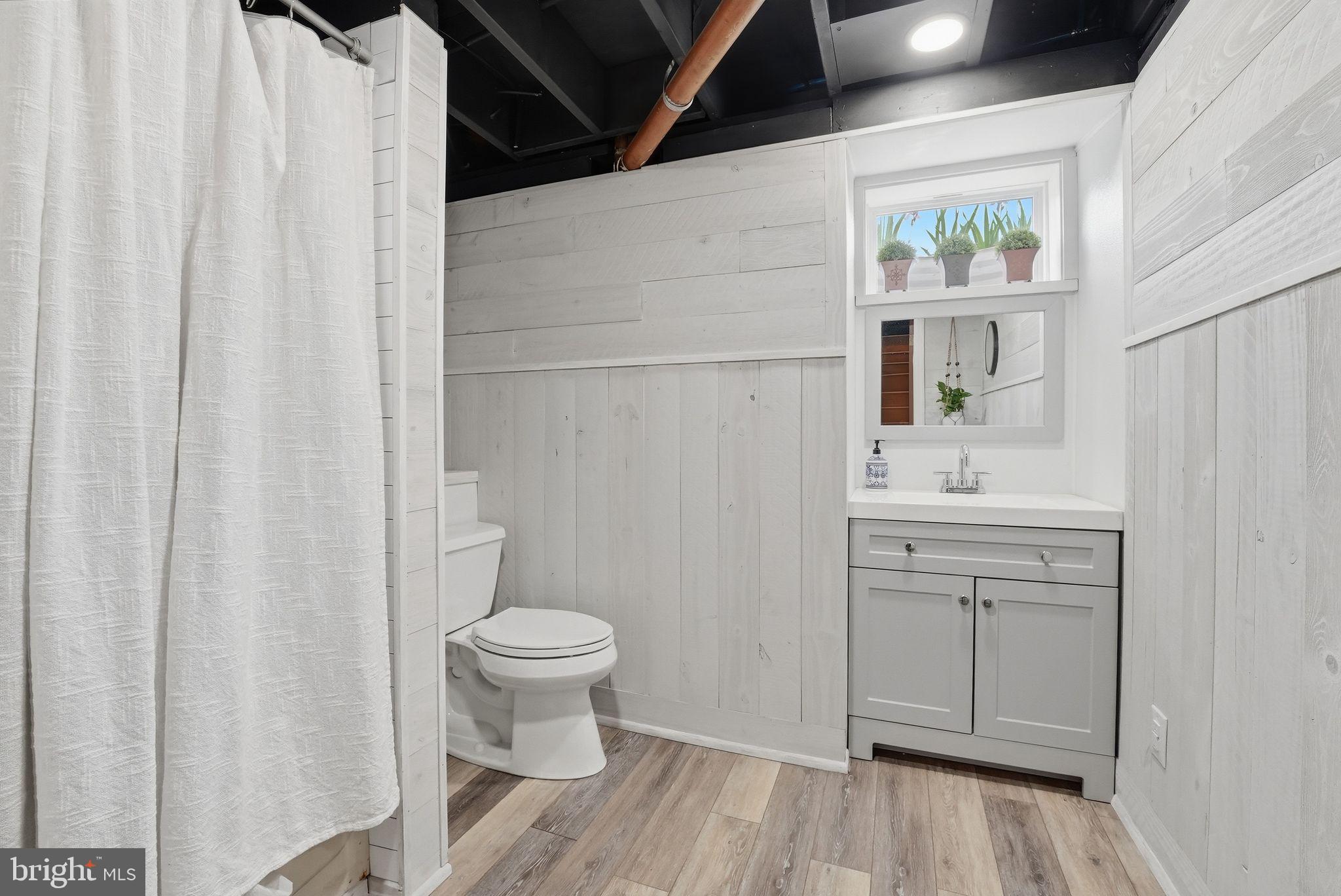 481 James City Road Leon, VA 22725 - Photo 40 of 88 a bathroom with a sink a toilet and a mirror