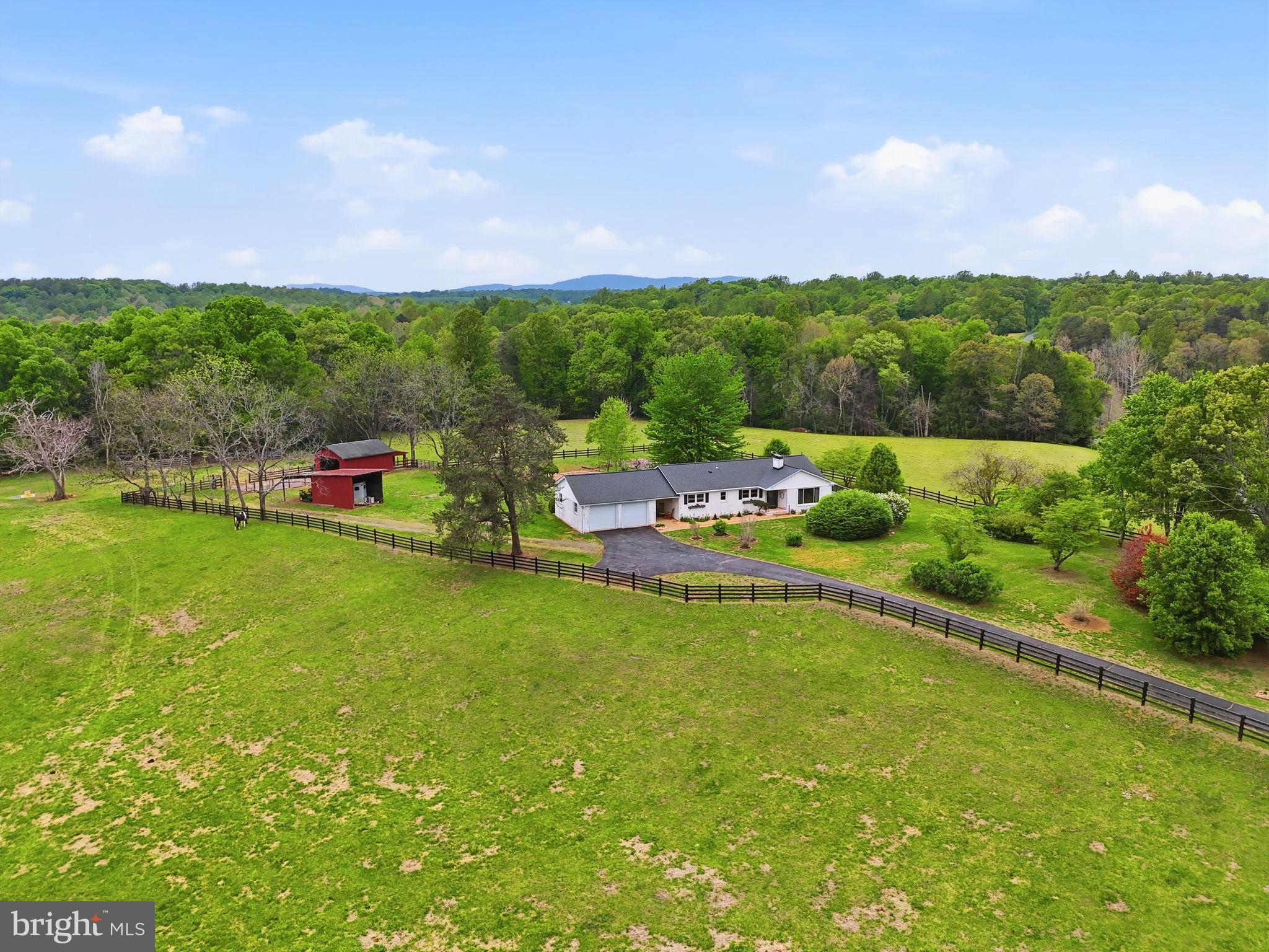 481 James City Road Leon, VA 22725 - Photo 5 of 88