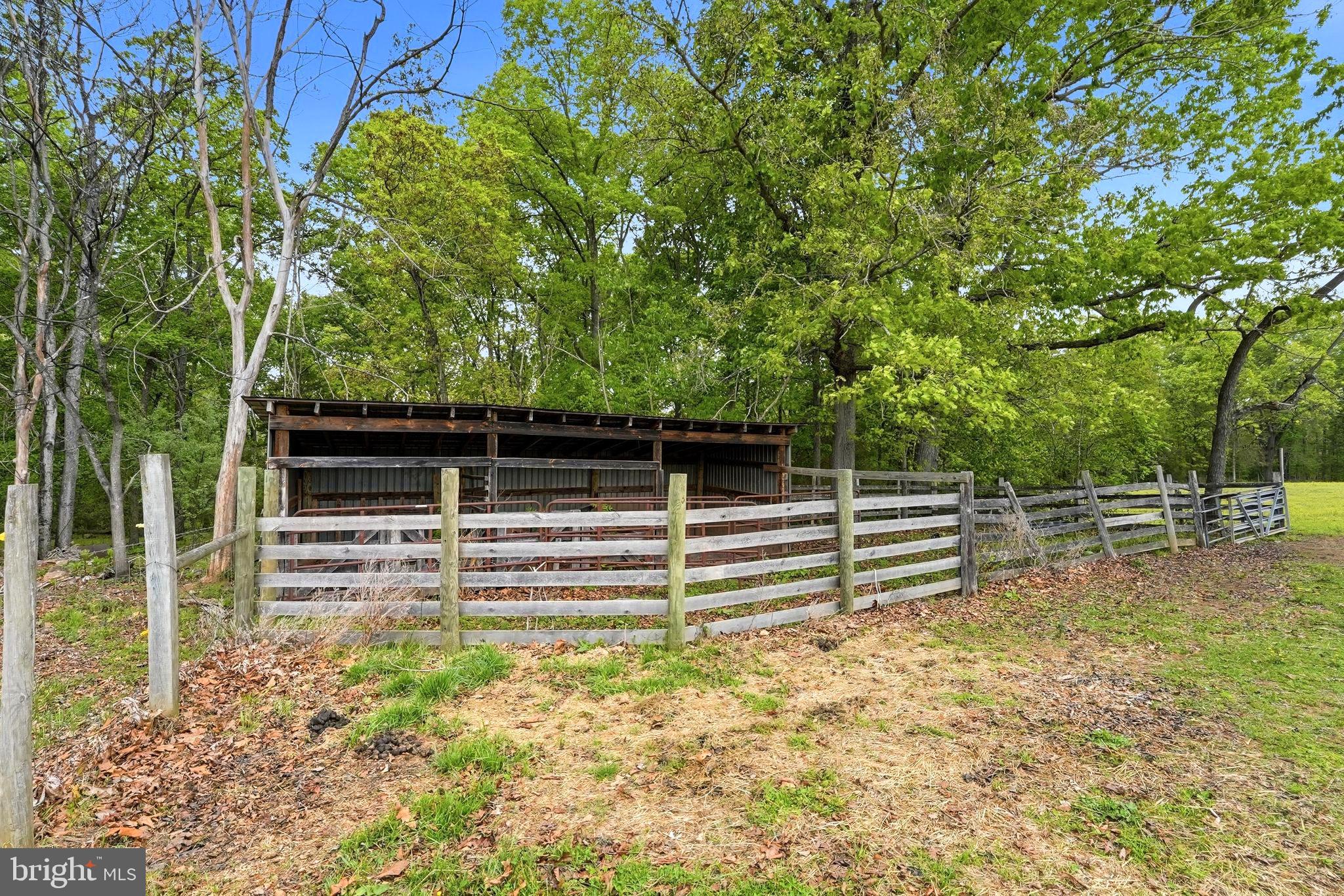 481 James City Road Leon, VA 22725 - Photo 72 of 88 a view of a backyard