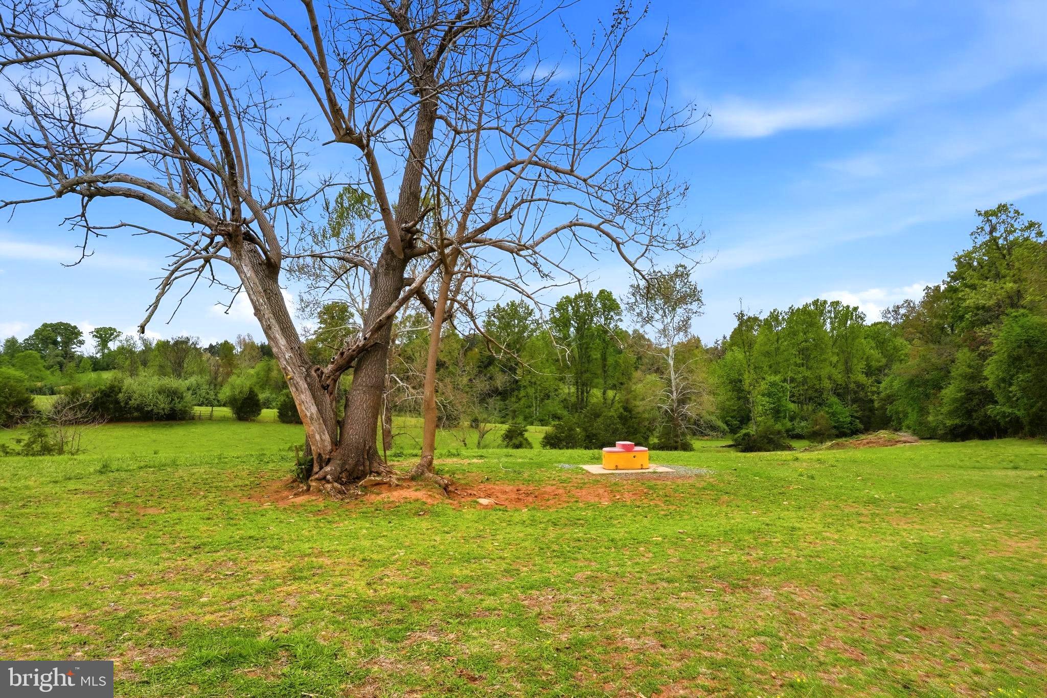 481 James City Road Leon, VA 22725 - Photo 75 of 88 a view of a field with a tree
