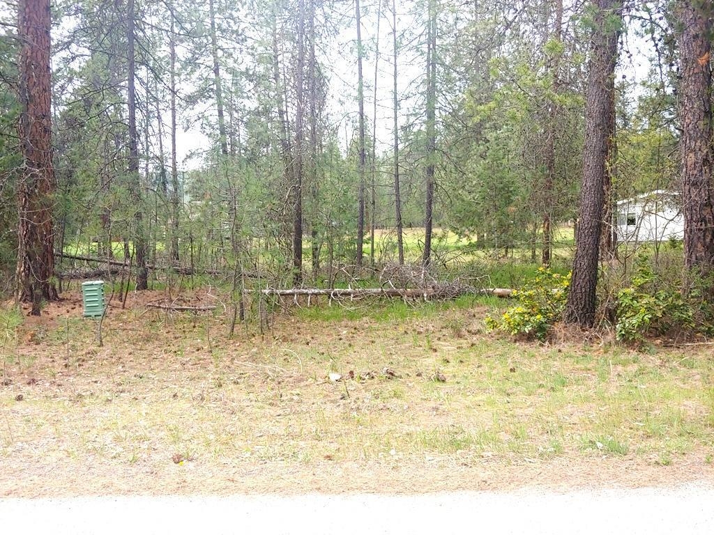 183 East Trappers Loop Chewelah, WA 99109 - Photo 11 of 11