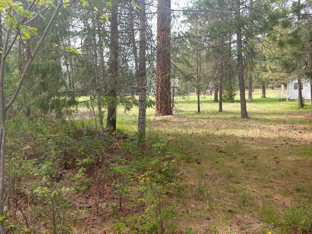 183 East Trappers Loop Chewelah, WA 99109 - Photo 5 of 11