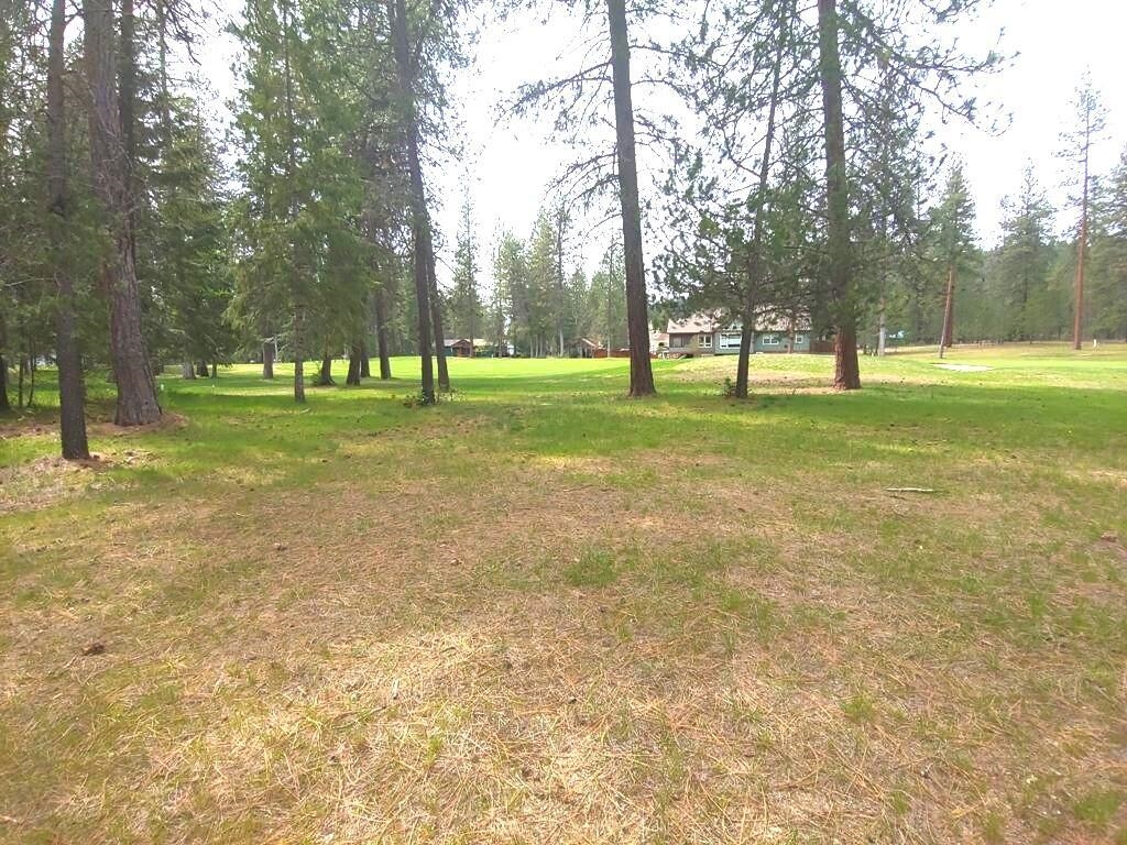 183 East Trappers Loop Chewelah, WA 99109 - Photo 6 of 11