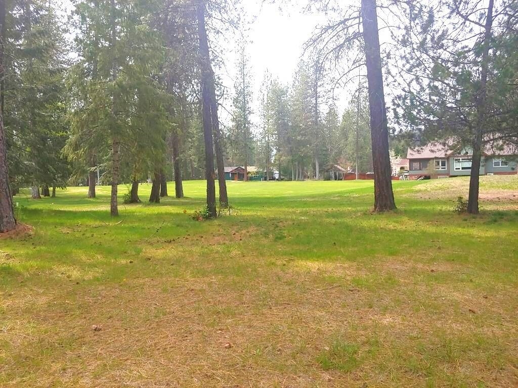 183 East Trappers Loop Chewelah, WA 99109 - Photo 7 of 11