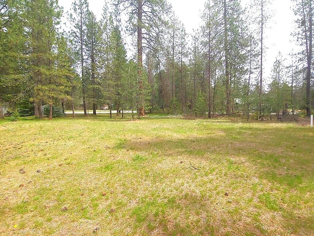 183 East Trappers Loop Chewelah, WA 99109 - Photo 8 of 11