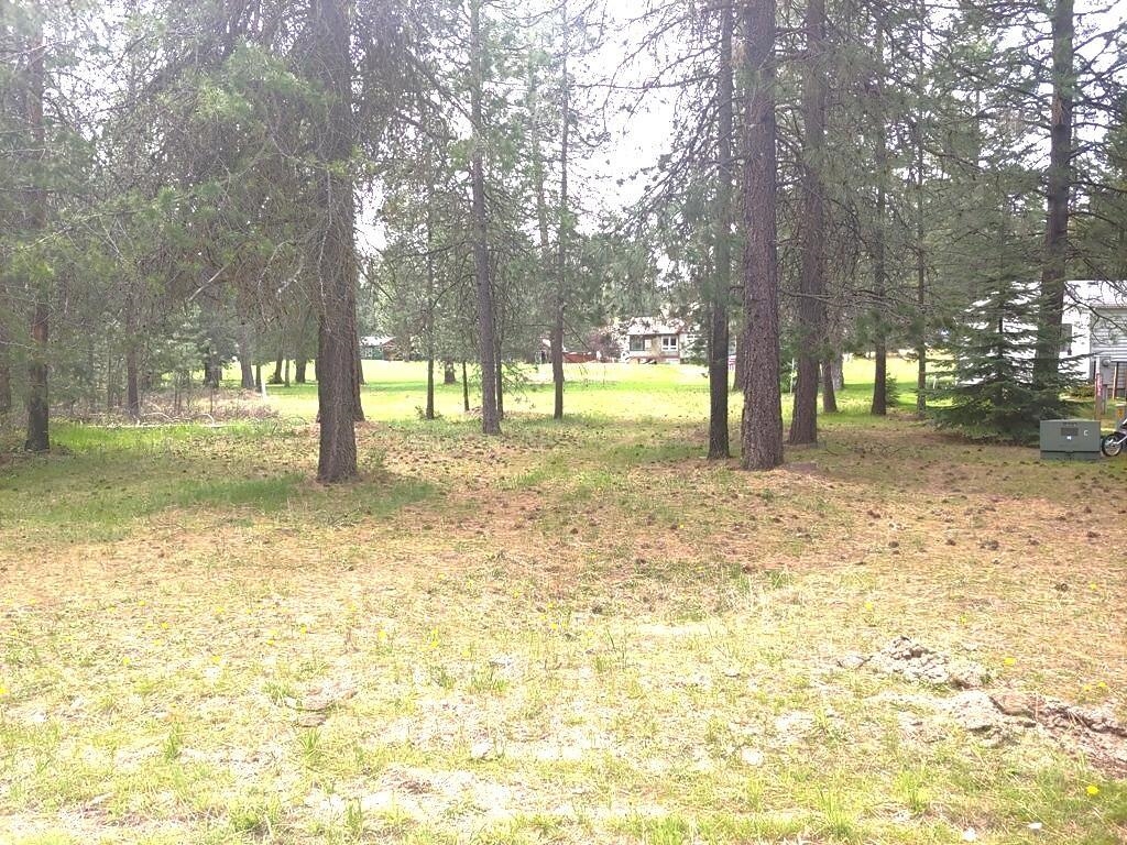 183 East Trappers Loop Chewelah, WA 99109 - Photo 9 of 11