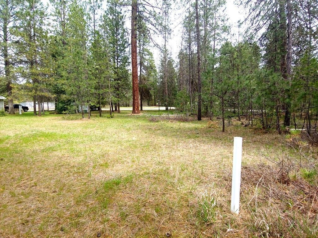 183 East Trappers Loop Chewelah, WA 99109 - Photo 10 of 11