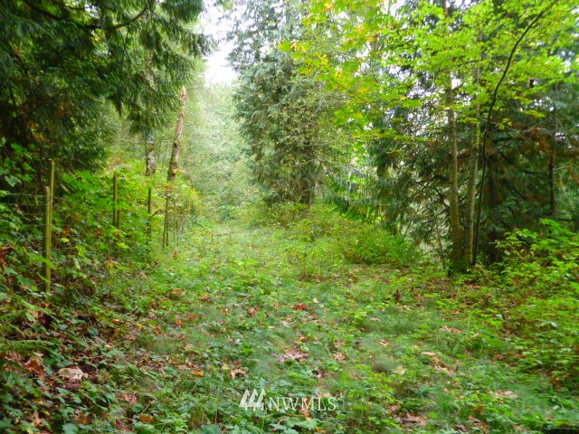 6448 F F & S Grade Road Sedro-Woolley, WA 98284 - Photo 17 of 18 Gallery Image 17