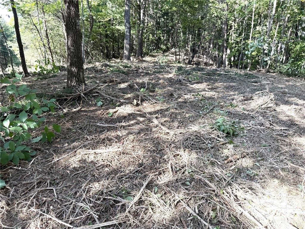Ridge Run Road Boomer, NC 28606 - Photo 3 of 15 Gallery Image 3