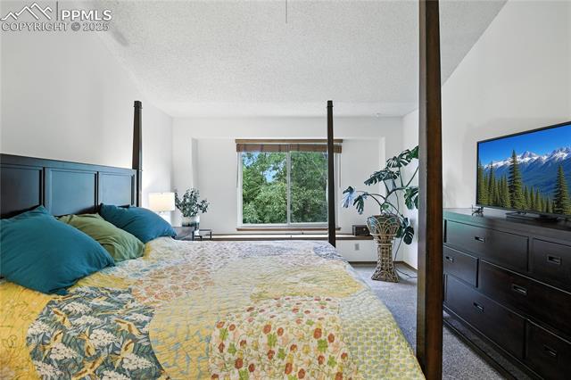 2130 Wickes Road Colorado Springs, CO 80919 - Photo 18 of 49 Bedroom with a textured ceiling and carpet floors