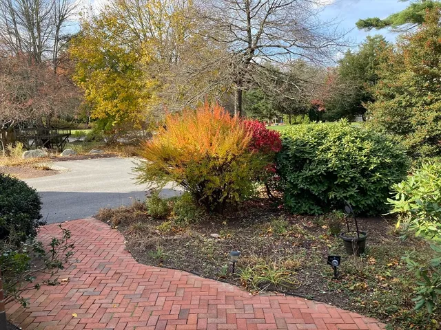 a view of a pathway both side of yard