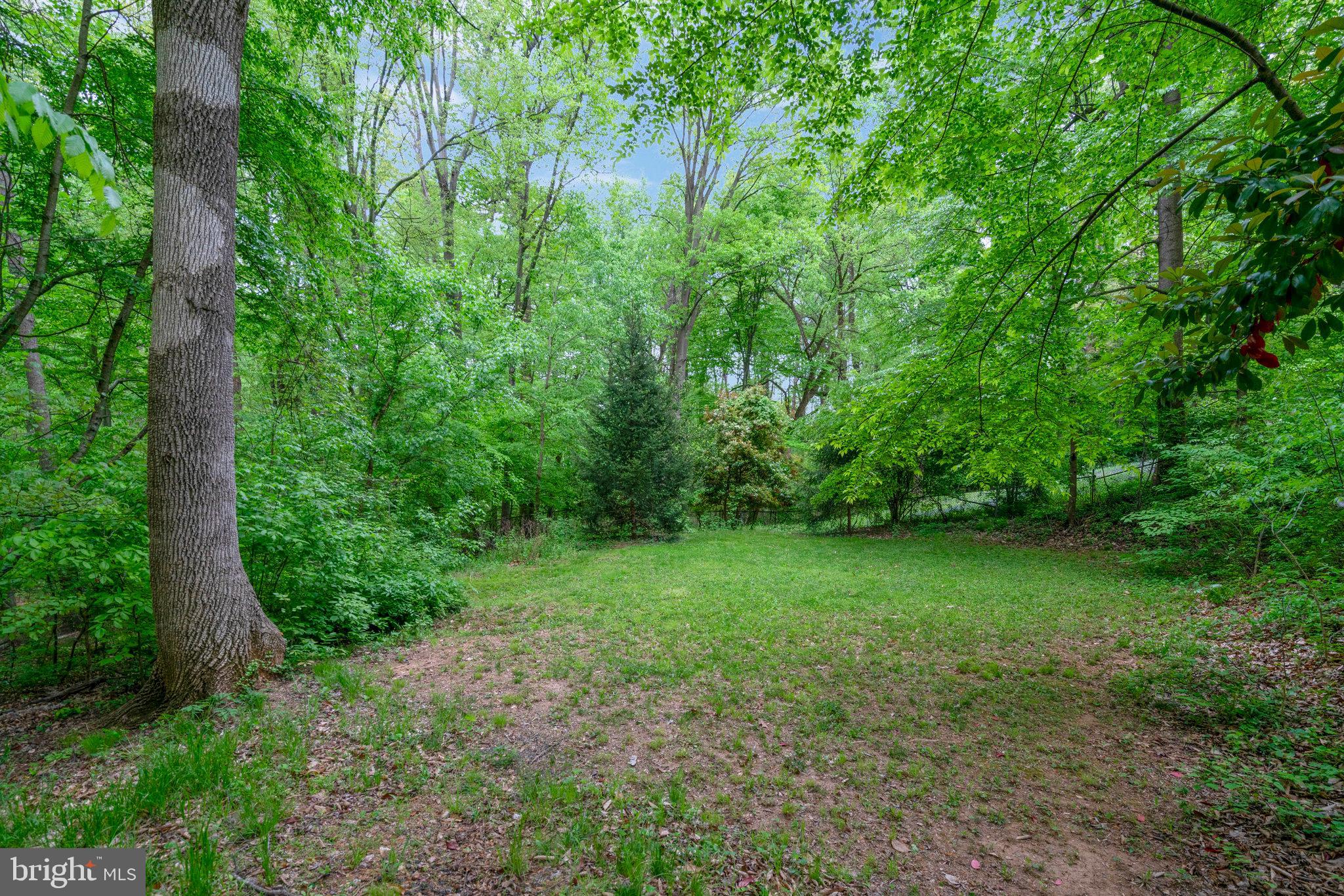 5642 Inverchapel Road Springfield, VA 22151 - Photo 70 of 74