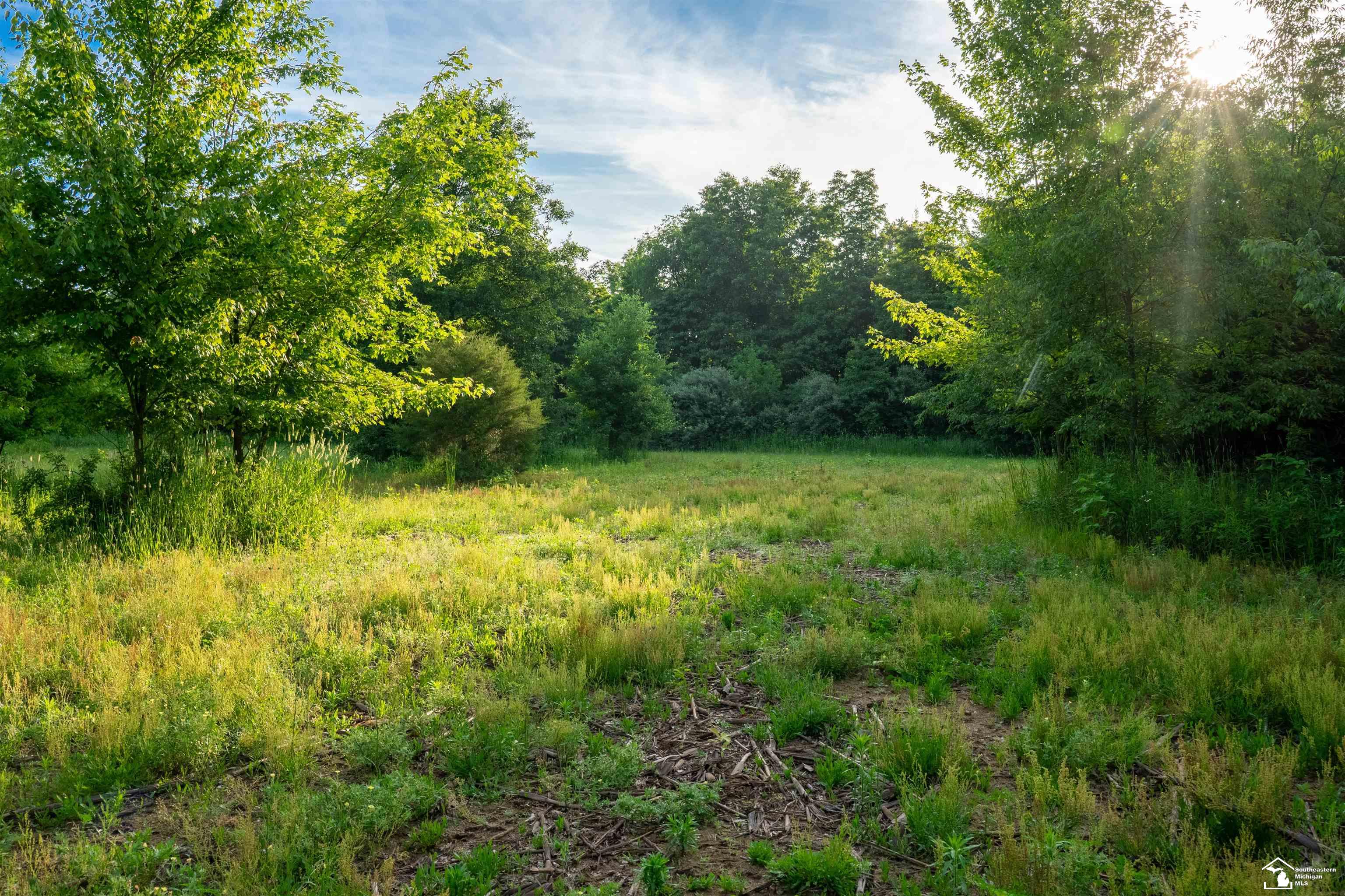 Parcel D Timbers Road Carleton, MI 48117 - Photo 7 of 20