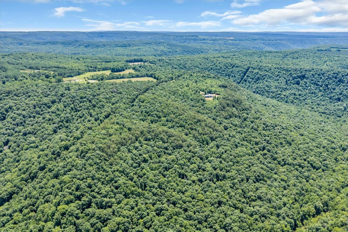 5688 Burkett Chapel Road Gruetli Laager, TN 37339 - Photo 57 of 73