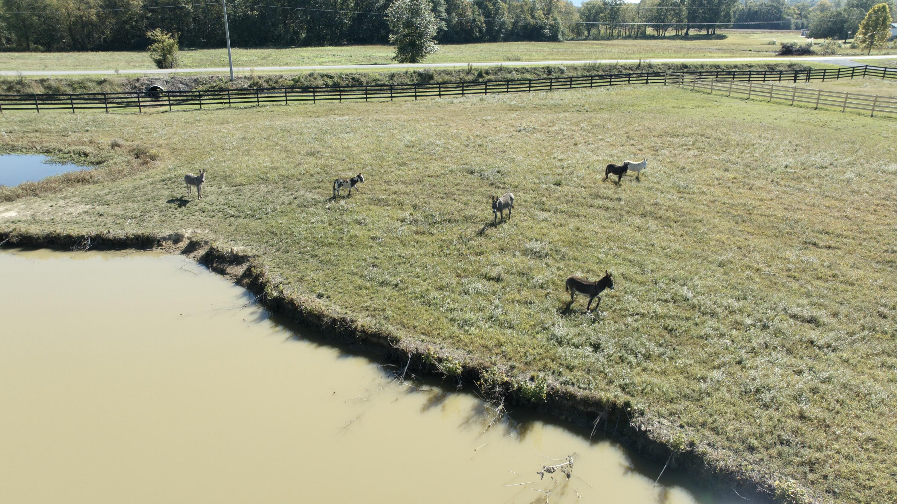 0 South River's Edge Drive Jasper, TN 37347 - Photo 10 of 23 tempImageXeD2VC