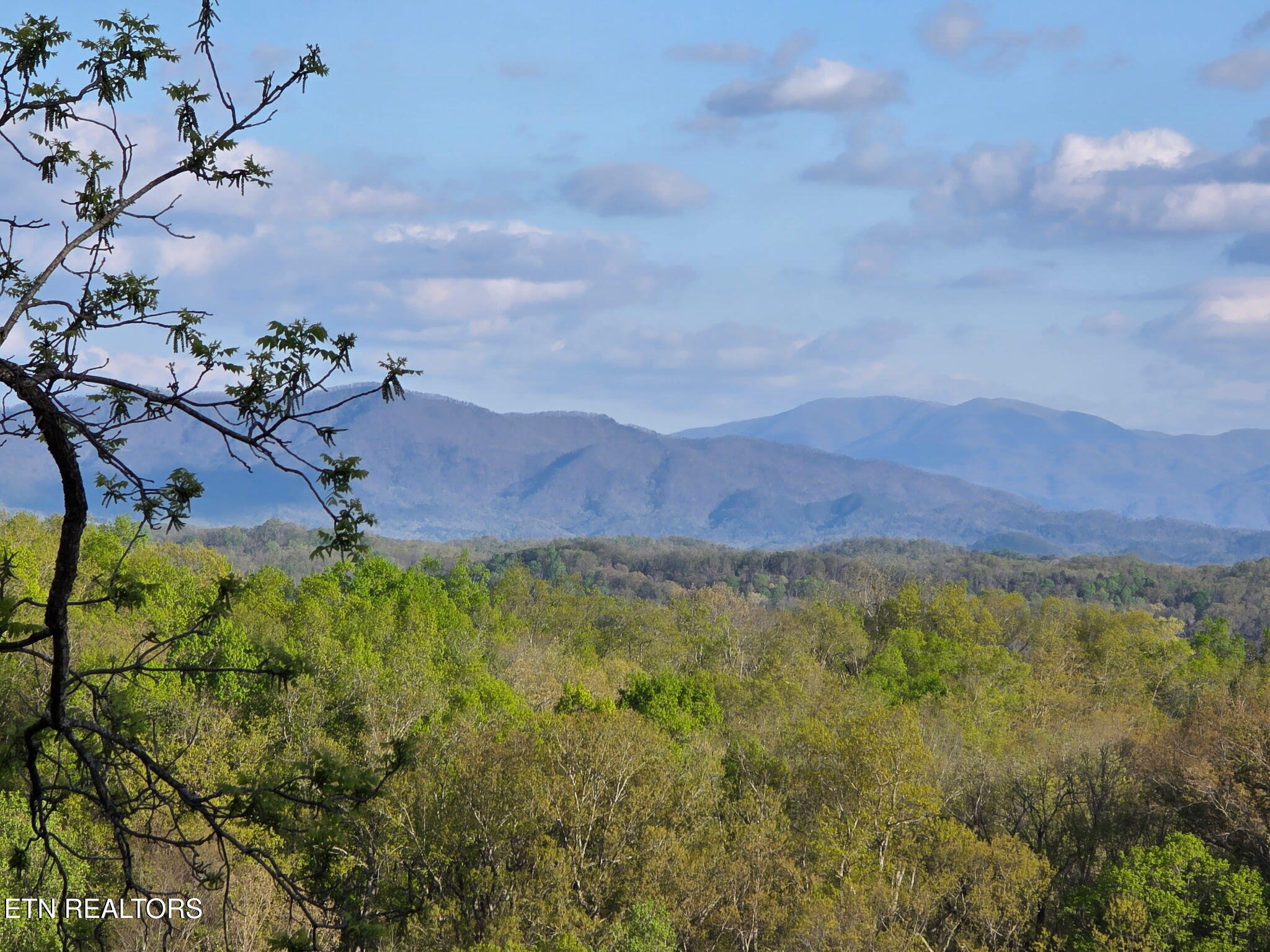 470 Vinson Hollow Road Bybee, TN 37713 - Photo 13 of 51 5071199198523216721